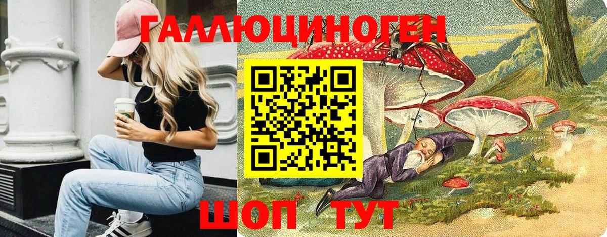 Галлюциногенные грибы Magic Shrooms  Галлюциногенные грибы GOLDEN TEACHER  Вход с VPN  Кизилюрт 